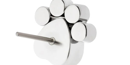 Invictus Titanium Threadless Bezel Heart & Round CZ Paw Top