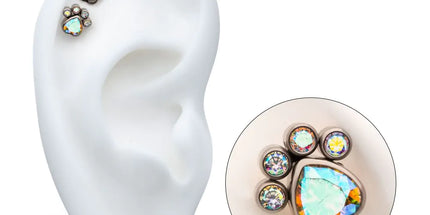 Invictus Titanium Threadless Bezel Heart & Round CZ Paw Top